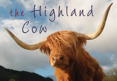 The Highland Cow - Click Image to Close