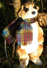 Wee MacMeerkat Soft Plush Toy - Small - Click Image to Close
