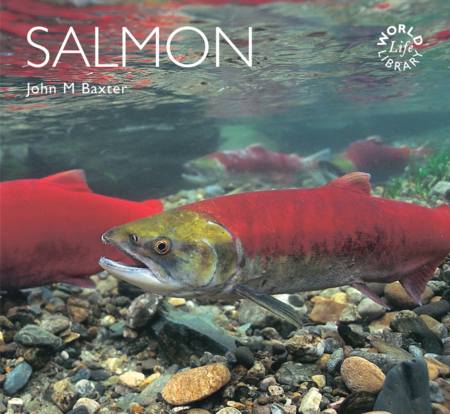 Salmon by John M Baxter